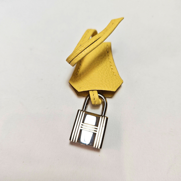 Load image into Gallery viewer, HERMES Birkin25 Jaune Poussin Togo Silver Y Stamp 2020