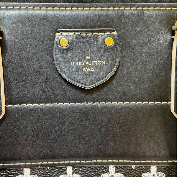 将图片加载到图库查看器，LOUIS VUITTON Limited Edition Catogram Canvas Alma Souple Bag
