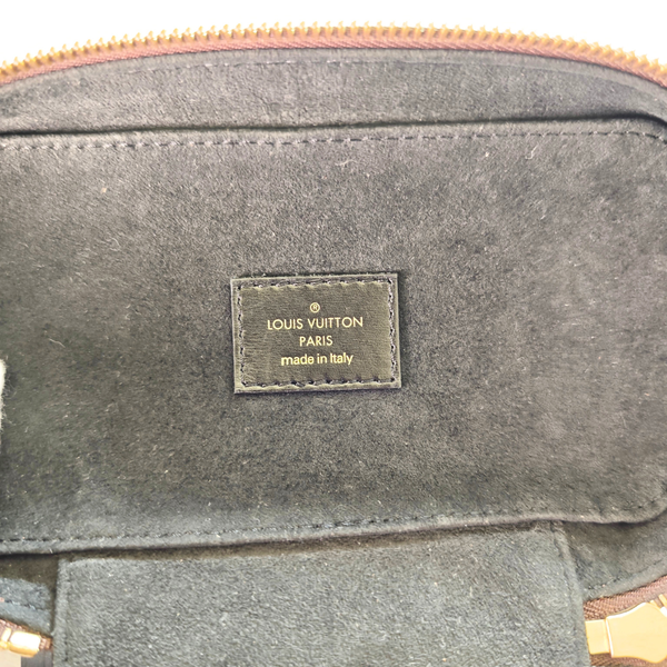 Load image into Gallery viewer, LOUIS VUITTON NV PM Vanity Bag
