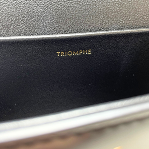 CELINE Triomphe Small Chain Claude Shoulder Bag Hedi Slimane