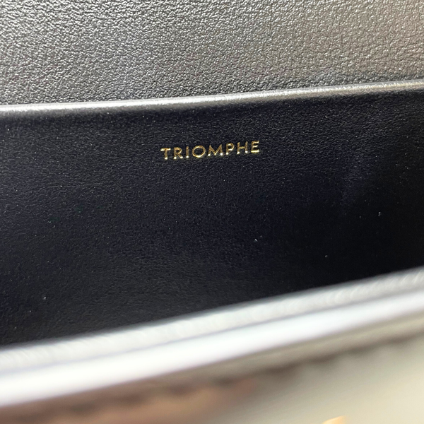 將圖片載入圖庫檢視器 CELINE Triomphe Small Chain Claude Shoulder Bag Hedi Slimane
