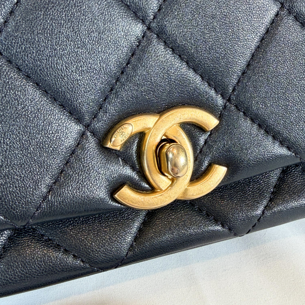 将图片加载到图库查看器，CHANEL Timeless Classic Top Handle Leather Hand Bag
