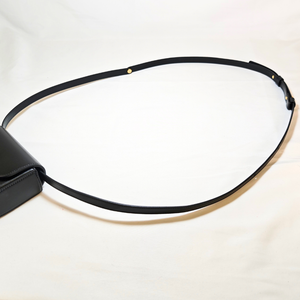 CELINE Triomphe Mini Claude Shoulder Bag Hedi Slimane